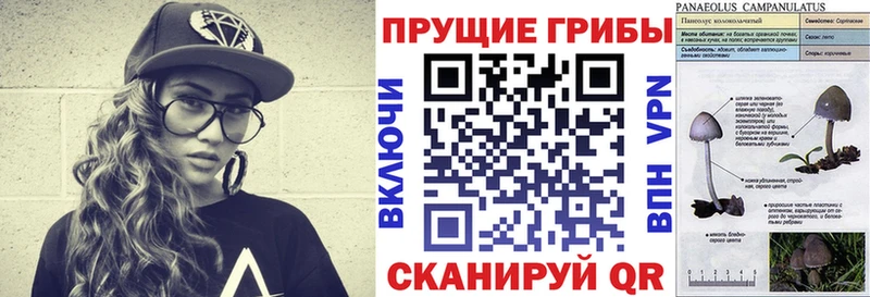 Галлюциногенные грибы ЛСД  Купить  Пенза 